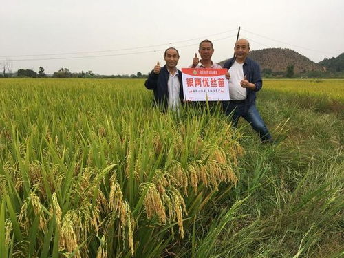 上海装潢设计：从石灰石到水泥：探索工业生产工艺流程,上海装潢设计：从石灰石到水泥：探索工业生产工艺流程,第2张