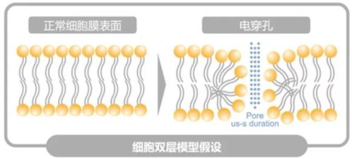 上海办公室设计装修：他是如何成为优秀的年轻程序员的？,上海办公室设计装修：他是如何成为优秀的年轻程序员的？,第2张