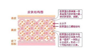 上海浦东写字楼装修：水泥增强剂解决冬季施工困境,上海浦东写字楼装修：水泥增强剂解决冬季施工困境,第2张