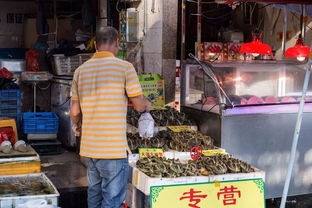 上海装饰：研究发现：PVC绝缘材料的独特优势,上海装饰：研究发现：PVC绝缘材料的独特优势,第1张