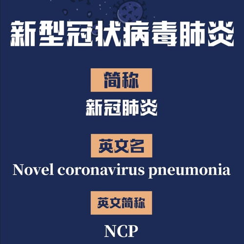 办公室装饰设计：重新设计：大中网商城，享受极致购物体验,办公室装饰设计：重新设计：大中网商城，享受极致购物体验,第3张