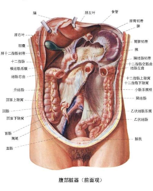 办公室装潢：如何选择适合自己的橡套电缆型号？,办公室装潢：如何选择适合自己的橡套电缆型号？,第2张