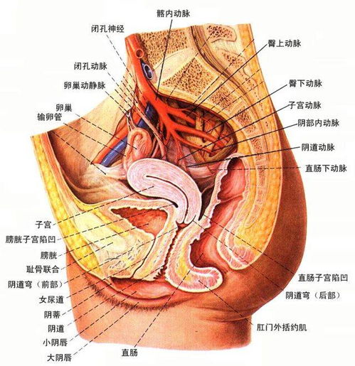 装修设计：卫浴品牌哪家强？十大品牌排名解读,装修设计：卫浴品牌哪家强？十大品牌排名解读,第1张