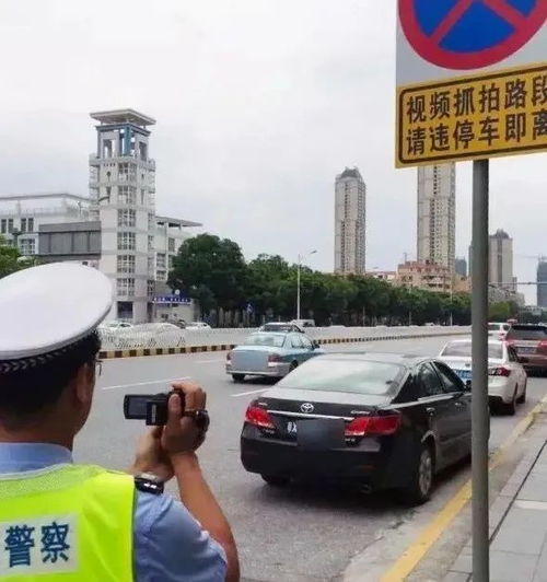 写字楼装修：春节返乡：篷布使用攻略与注意事项,写字楼装修：春节返乡：篷布使用攻略与注意事项,第3张