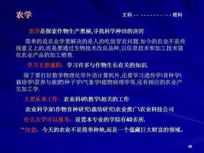 装修报价：探究乐华电视的功能与性能,装修报价：探究乐华电视的功能与性能,第2张