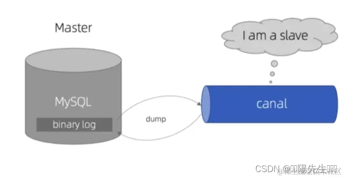 SpringCloud 整合 Canal+RabbitMQ+Redis 实现数据监听,第2张