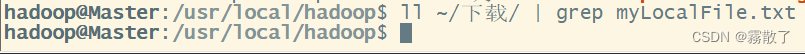 HDFS编程实践(Hadoop3.1.3),查看是否有 myLocalFile.txt 文件,第18张