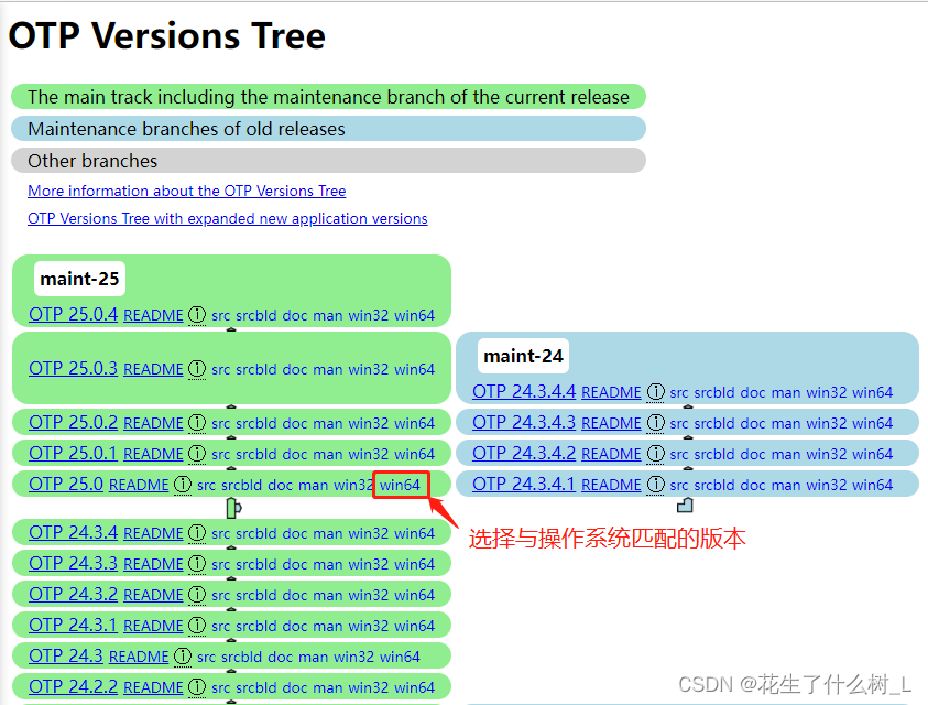 RabbitMQ详细安装教程（亲测可用）,在这里插入图片描述,第2张