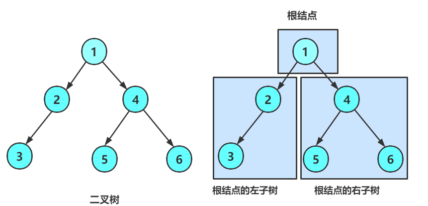 速学数据结构 | 树 森林 二叉树 的概念详讲篇,在这里插入图片描述,第6张