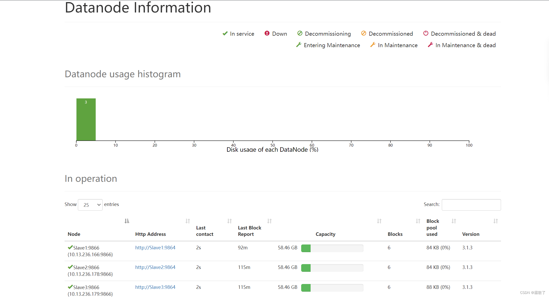 HDFS编程实践(Hadoop3.1.3),Datanode 界面,第23张