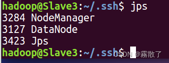 Ubuntu 16.04——Hadoop集群安装配置,查看 Slave3 服务开启情况,第31张