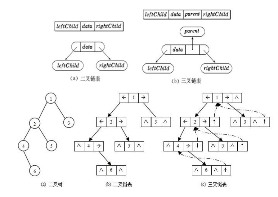 速学数据结构 | 树 森林 二叉树 的概念详讲篇,第10张