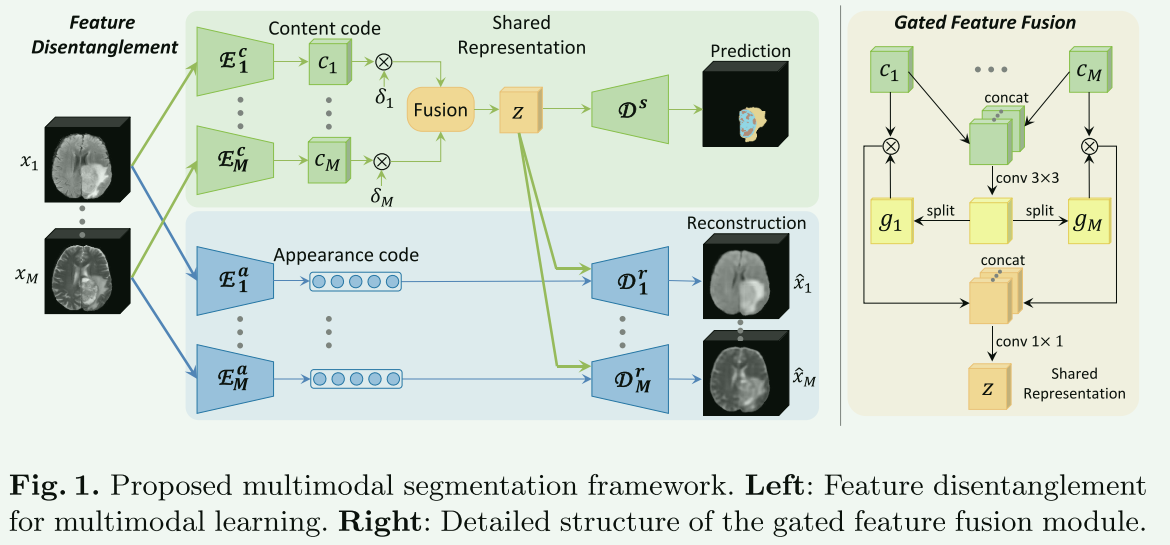 【论文阅读笔记】4篇Disentangled representation learning用于图像分割的论文,image-20240116154208633,第1张