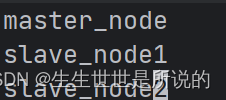 简单讲讲在一台机器上用docker部署hadoop HDFS,第11张