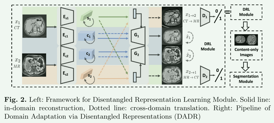 【论文阅读笔记】4篇Disentangled representation learning用于图像分割的论文,image-20240117103458061,第3张