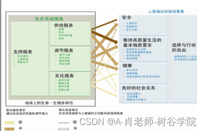 InVEST模型| 软件安装与固碳模块的使用,第12张