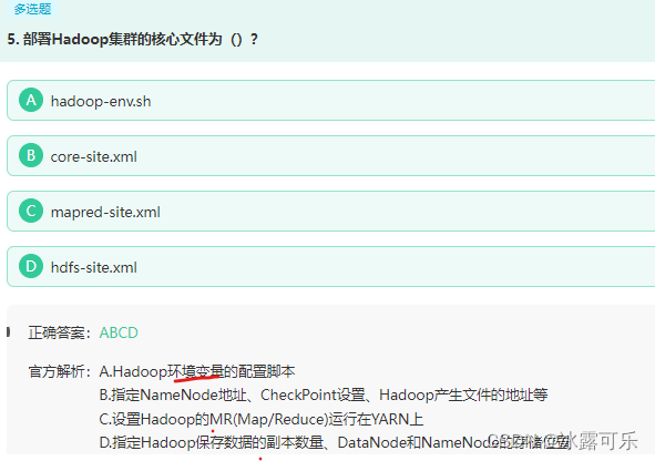 大数据：Hadoop刷题,在这里插入图片描述,第31张