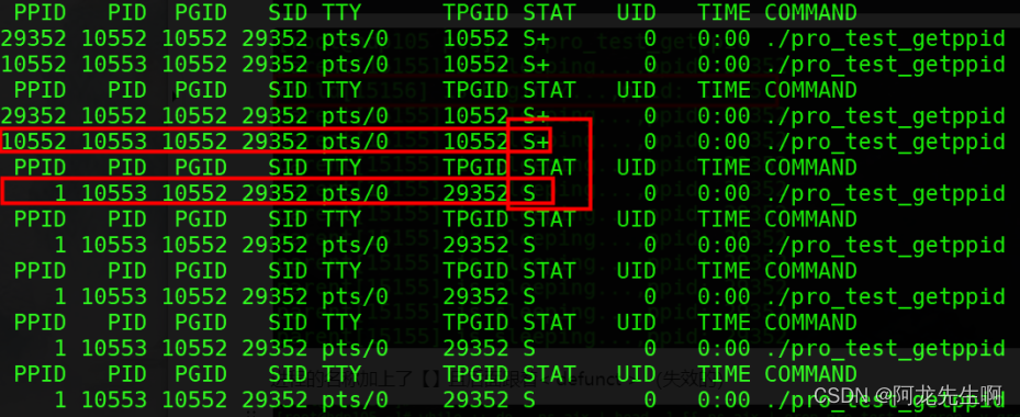 【Linux】进程查看|fork函数|进程状态,第19张
