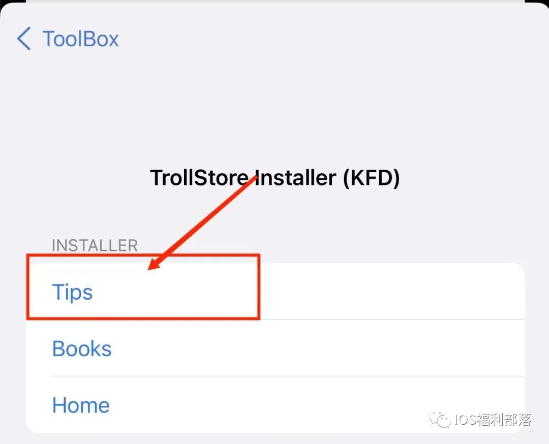 《TrollStore巨魔商店》TrollStore2安装使用教程支持IOS14.0-16.6.1,图片,第6张