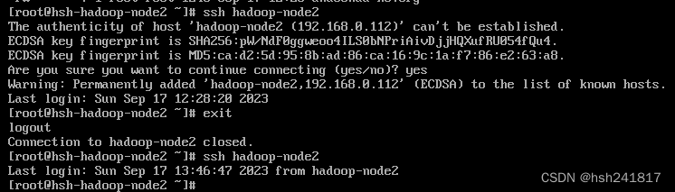 （保姆级）Hadoop-3.3.6、jdk,第47张