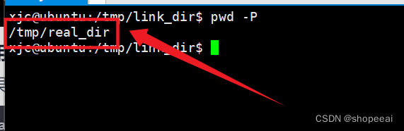 【Linux】Linux系统编程——pwd命令,在这里插入图片描述,第10张