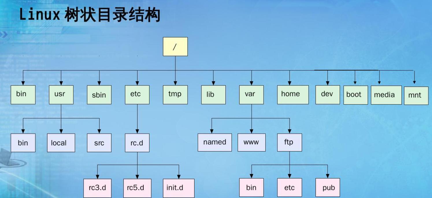 速学数据结构 | 树 森林 二叉树 的概念详讲篇,在这里插入图片描述,第5张