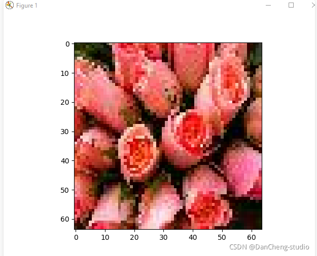 毕设 深度学习花卉识别 - python 机器视觉 opencv,在这里插入图片描述,第9张