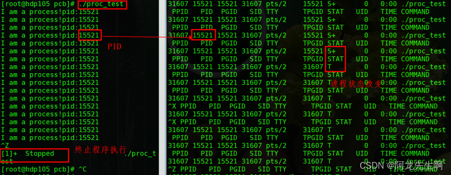 【Linux】进程查看|fork函数|进程状态,第7张
