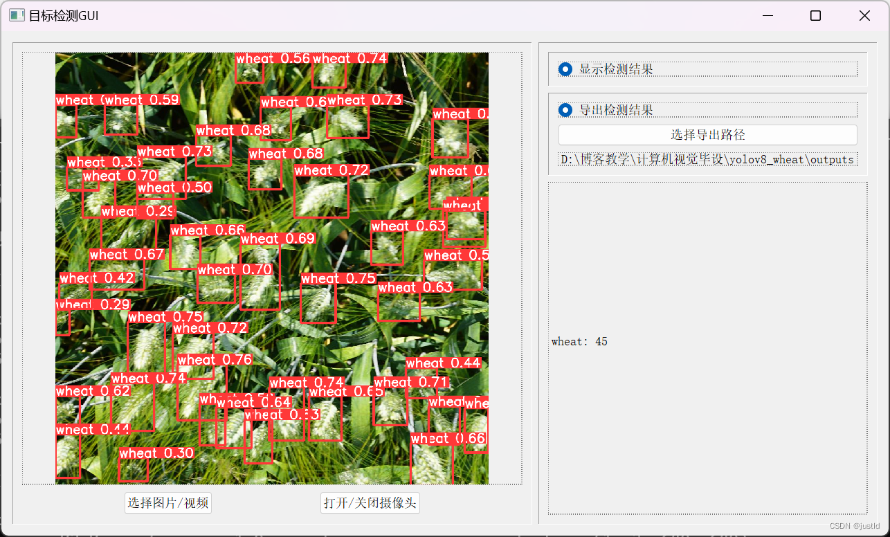 【深度学习目标检测】十六、基于深度学习的麦穗头系统-含GUI和源码（python，yolov8）,第6张