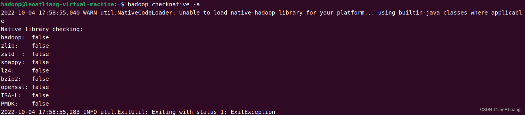 Unable to load native-hadoop library for your platform解决方法,第2张