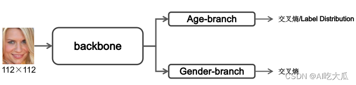 年龄性别预测2：Pytorch实现年龄性别预测和识别(含训练代码和数据),第4张