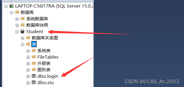 学生管理系统--课程设计项目（Java+SQL server）,在这里插入图片描述,第3张