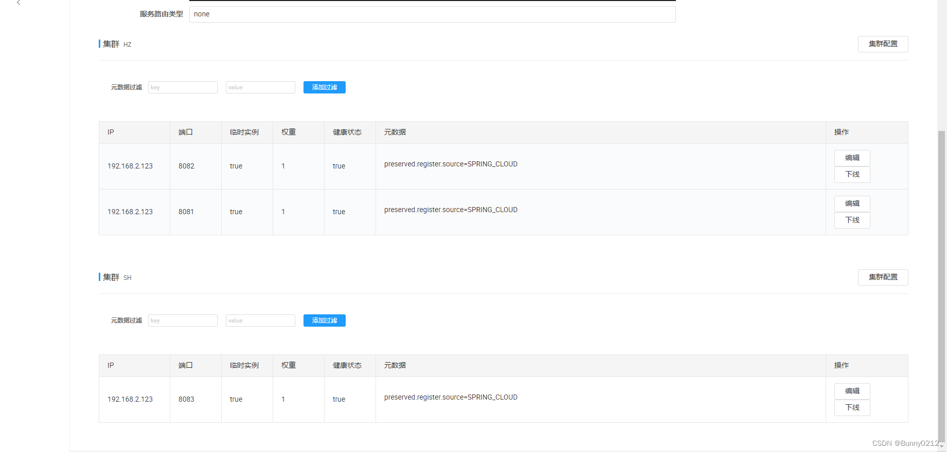 SpringCloud+Eureka+Nacos使用和扩展,在这里插入图片描述,第18张