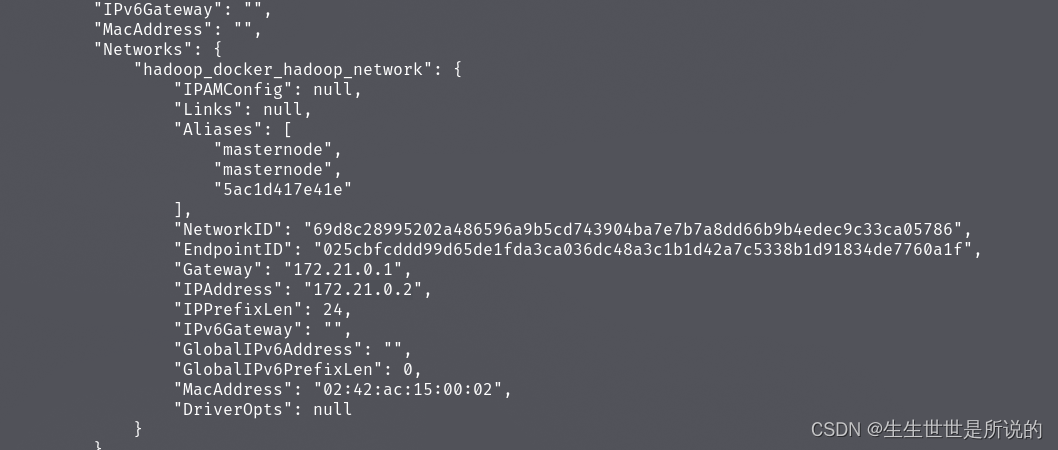 简单讲讲在一台机器上用docker部署hadoop HDFS,第25张