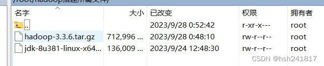 （保姆级）Hadoop-3.3.6、jdk,第53张