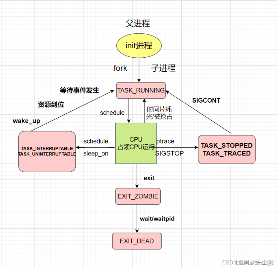 【Linux】进程查看|fork函数|进程状态,第13张