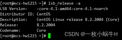 RabbitMQ保姆级安装：Linux Centos8系统,第2张