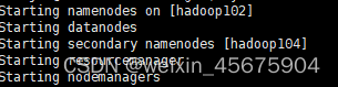 hadoop报错ERROR: Cannot set priority of namenode process,第5张