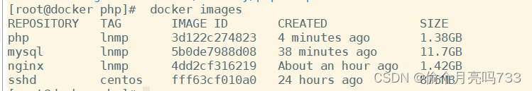 利用docker的LNMP,第9张