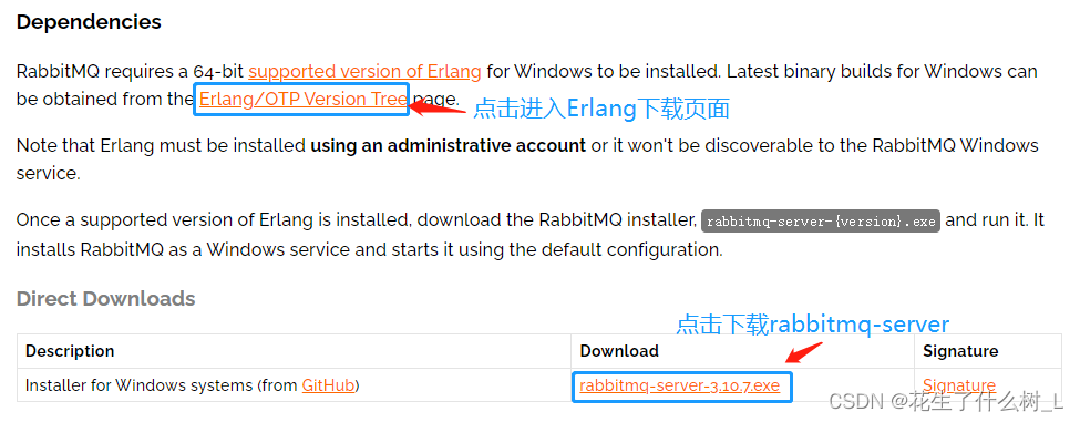 RabbitMQ详细安装教程（亲测可用）,在这里插入图片描述,第1张