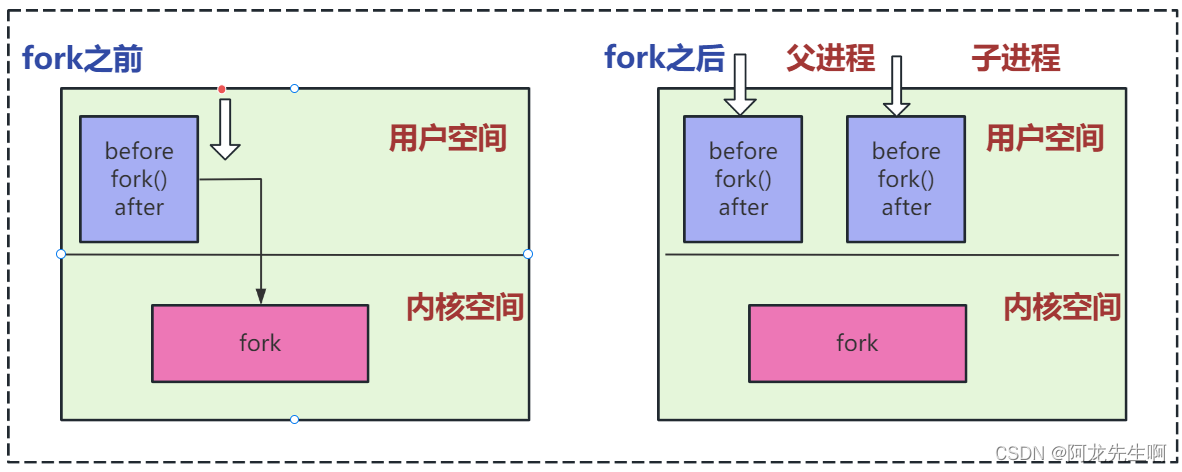 【Linux】进程查看|fork函数|进程状态,第12张