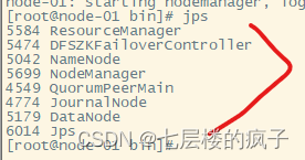 七、Hadoop系统应用之搭建Hadoop高可用集群（超详细步骤指导操作，WIN10，VMware Workstation 15.5 PRO，CentOS-6.7）,在这里插入图片描述,第8张