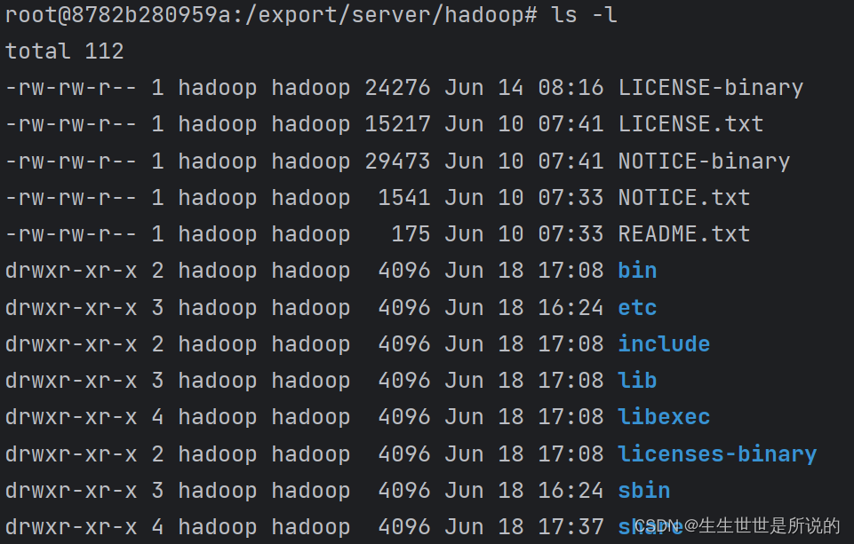 简单讲讲在一台机器上用docker部署hadoop HDFS,第10张