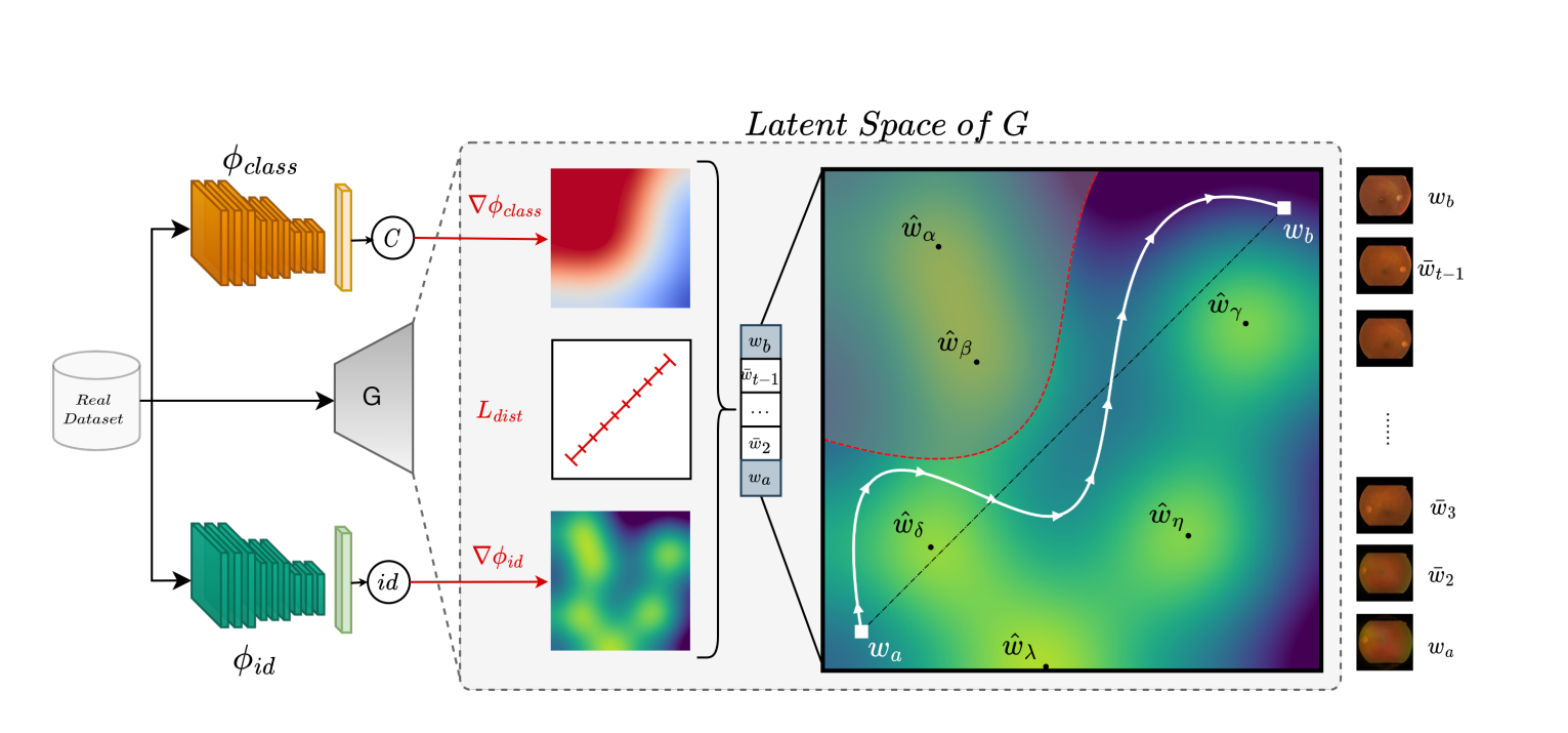 PLAN方法：解决 GAN 生成医学图像 Latent 空间中的隐私保护方法,在这里插入图片描述,第1张