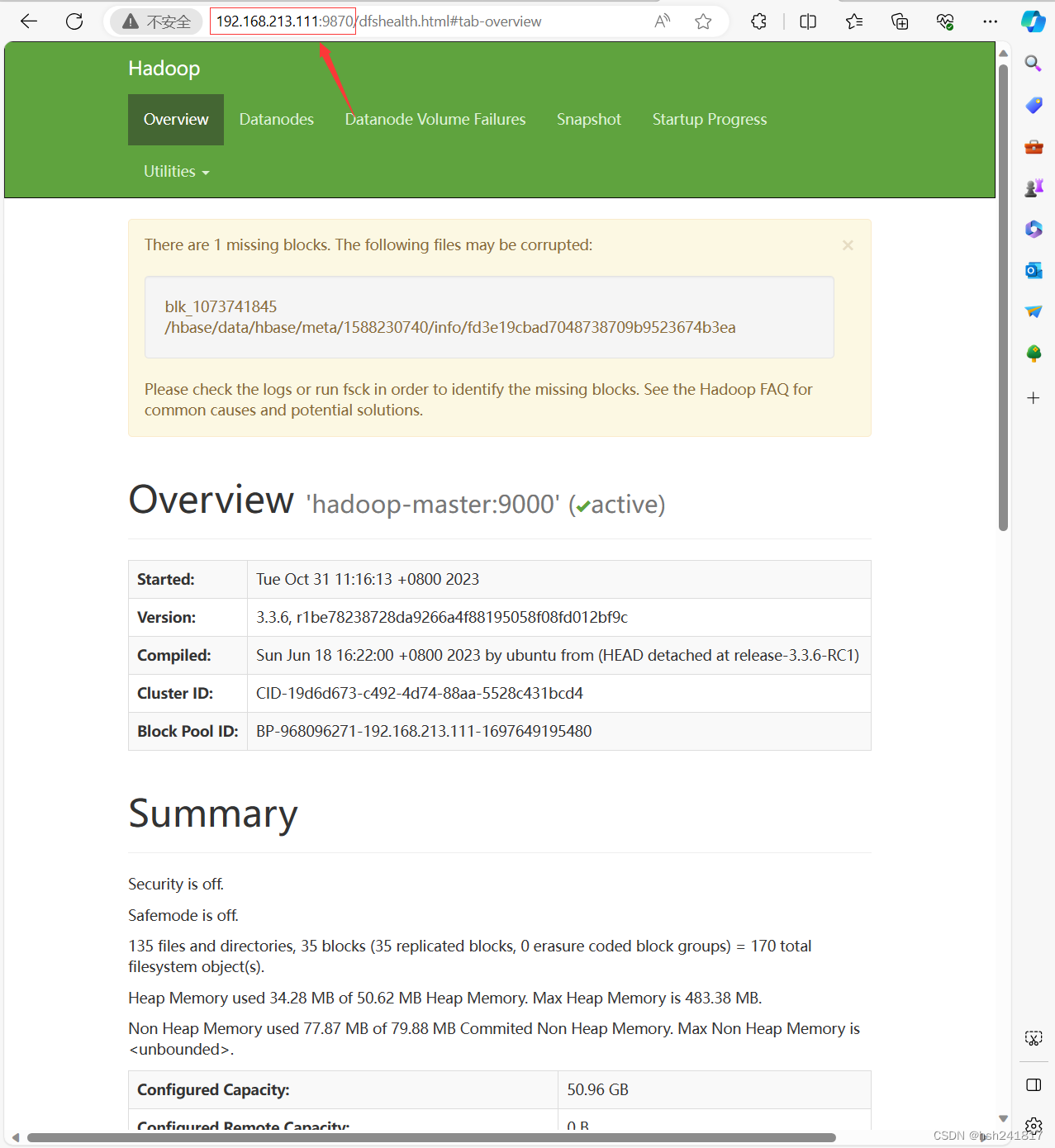 （保姆级）Hadoop-3.3.6、jdk,第71张