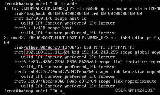 （保姆级）Hadoop-3.3.6、jdk,第34张