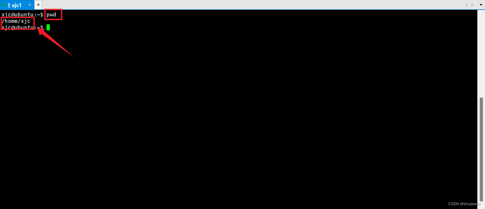 【Linux】Linux系统编程——pwd命令,在这里插入图片描述,第1张