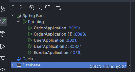 SpringCloud+Eureka+Nacos使用和扩展,在这里插入图片描述,第7张