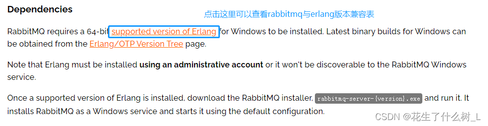 RabbitMQ详细安装教程（亲测可用）,在这里插入图片描述,第3张