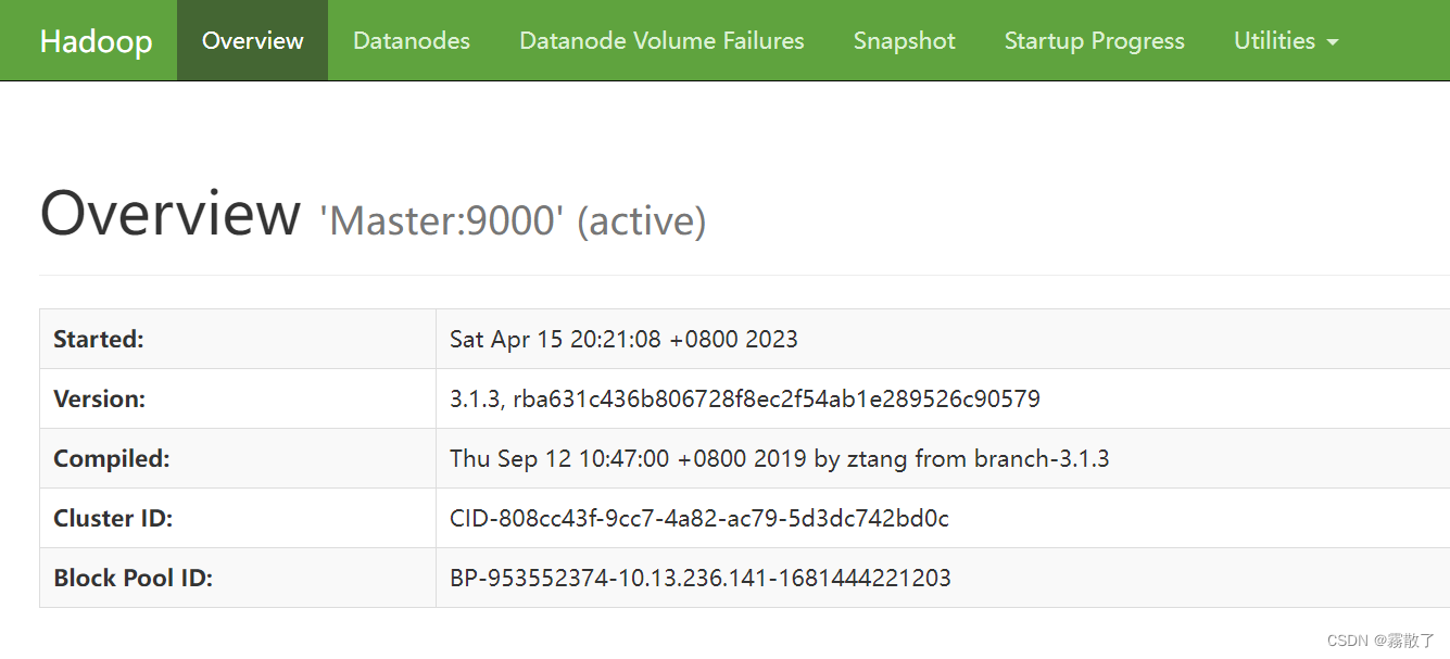 HDFS编程实践(Hadoop3.1.3),Overview 界面,第22张